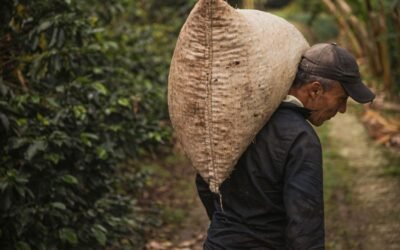 Exploring the World of Coffee: A Special Focus on Colombian Coffee