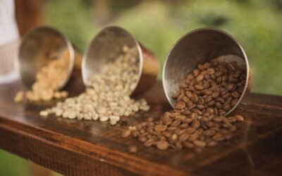 Mastering the Craft: The Best Coffee Growing Conditions Revealed
