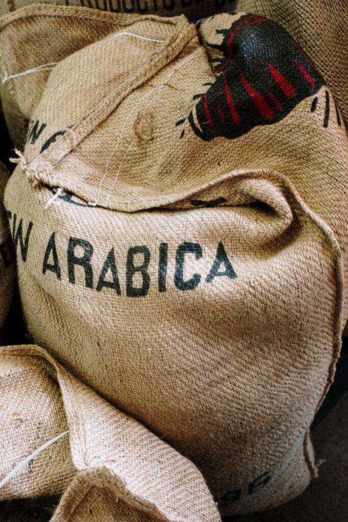 arabica vs robusta